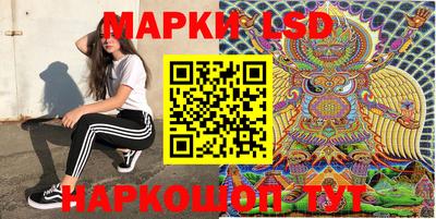 шишки Будённовск