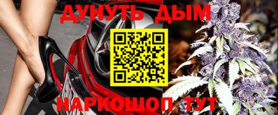 шишки Будённовск
