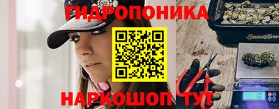 шишки Будённовск