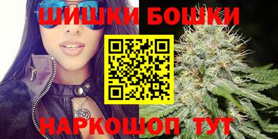 шишки Будённовск