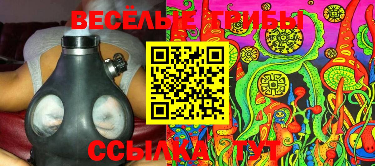 Галлюциногенные грибы Psilocybine cubensis  Псилоцибиновые грибы ЛСД  Вход с VPN  Рубцовск 